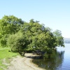 Windermere, west bank opposite Bowness Bay, winter afternoon,