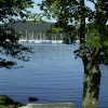 September Afternoon on the West Bank of Windermere opposite Belle Isle.