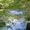 October, the Brathay River, nr. Ambleside,Cumbria.
