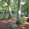 October, the Brathay River, nr. Ambleside,Cumbria.