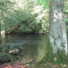 October, the Brathay River, nr. Ambleside,Cumbria.