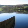 Late Autumn afternoon at Esthwaite Water, Near Sawery, Cumbria.