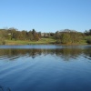 Late Autumn afternoon at Esthwaite Water, Near Sawery, Cumbria.