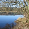 Late Autumn afternoon at Esthwaite Water, Near Sawery, Cumbria.