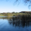 Late Autumn Afternoon at Esthwaite Water, Near Sawery. Cumbria.