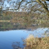 Late Autumn Afternoon at Esthwaite Water, Near Sawery. Cumbria.