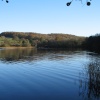 Late Autumn Afternoon at Esthwaite Water, Near Sawery. Cumbria.