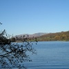 Late Autumn Afternoon at Esthwaite Water, Near Sawery. Cumbria.