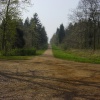 Maulden Woods