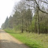 Maulden Woods