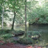 October at Brathay River Near Ambleside.