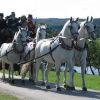 Coach & Four, Chatsworth House, Bakewell, Derbyshire