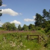 Maulden Woods