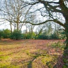 Bramshaw, The New Forest, Hampshire