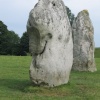 Avebury Stones