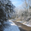 Snow Fall, Toad Hall Lane