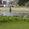 Bedford riverbank