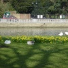 Bedford riverbank