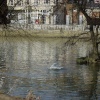 Bedford river