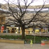 Milton Keynes, Buckinghamshire