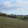 Barton hills
