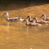 My family, Otterton, Devon