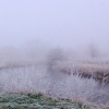 Frosty Morning In Gamston, Nottinghamshire