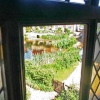 Willy Lott's View