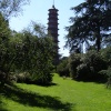 Chinese Pagoda Kew