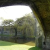 Weeping Willow, Eltham Palace, Greater London