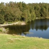 Tarn Hows, Cumbria.