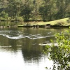 Tarn Hows, Cumbria.
