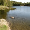 Tarn Hows, Cumbria.