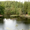 Tarn Hows, Cumbria. September 2007.