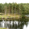 Tarn Hows, Cumbria. September 2007.