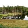 Tarn Hows, Cumbria. September 2007.