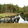 Tarn Hows, Cumbria. September 2007.