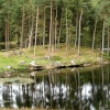 Tarn Hows, Cumbria. September 2007.