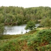 Tarn Hows, Cumbria. September 2007.