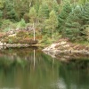 Tarn Hows, Cumbria. September 2007.