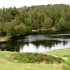 Tarn Hows, Cumbria. September 2007.