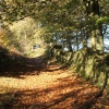 Hurst Green, Lancashire.