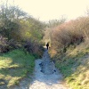 Many paths to follow
