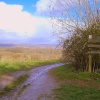 Up the junction