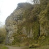 The lions head