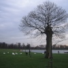 Hyde Park, Kensington, Greater London