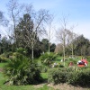 Battersea Park