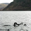 A cold February afternoon on Ullswater.