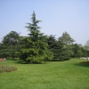 Greenwich Park, Greater London