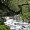 River at Glenridding, Ullswater, Cumbria.